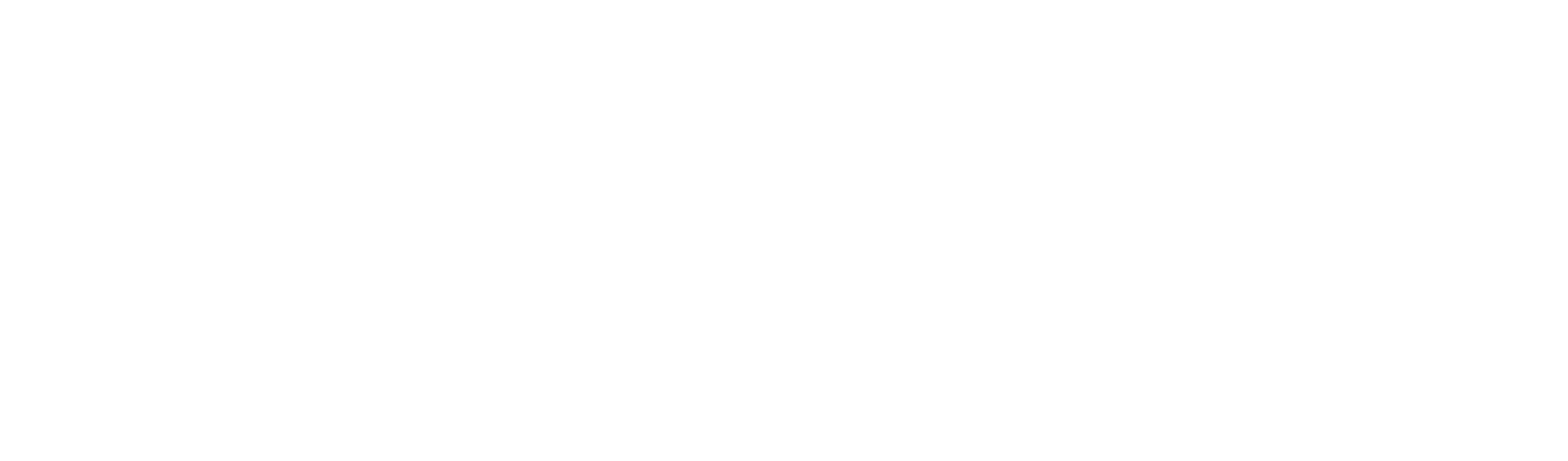 STRAY Systemes